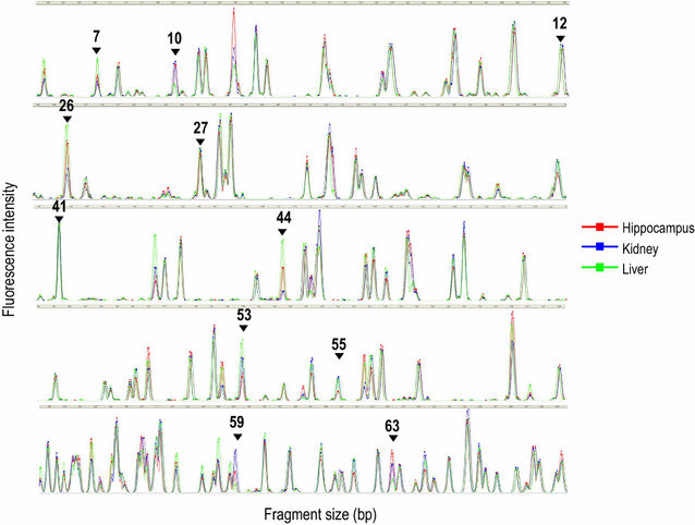 Fig. 3