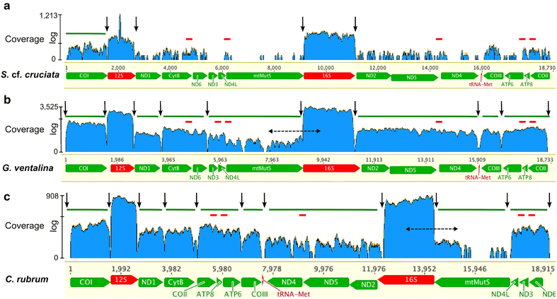 Fig. 1