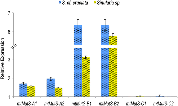 Fig. 5