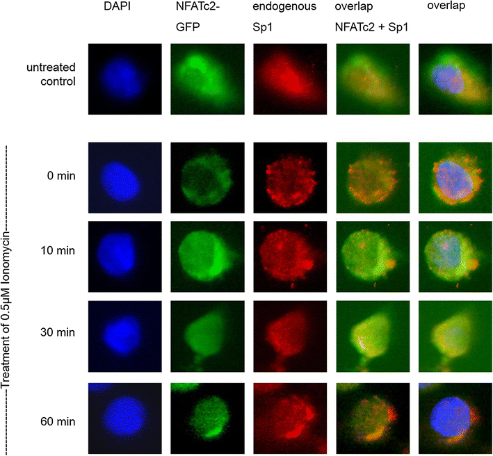 Fig. 3