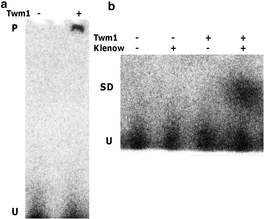 Fig. 8