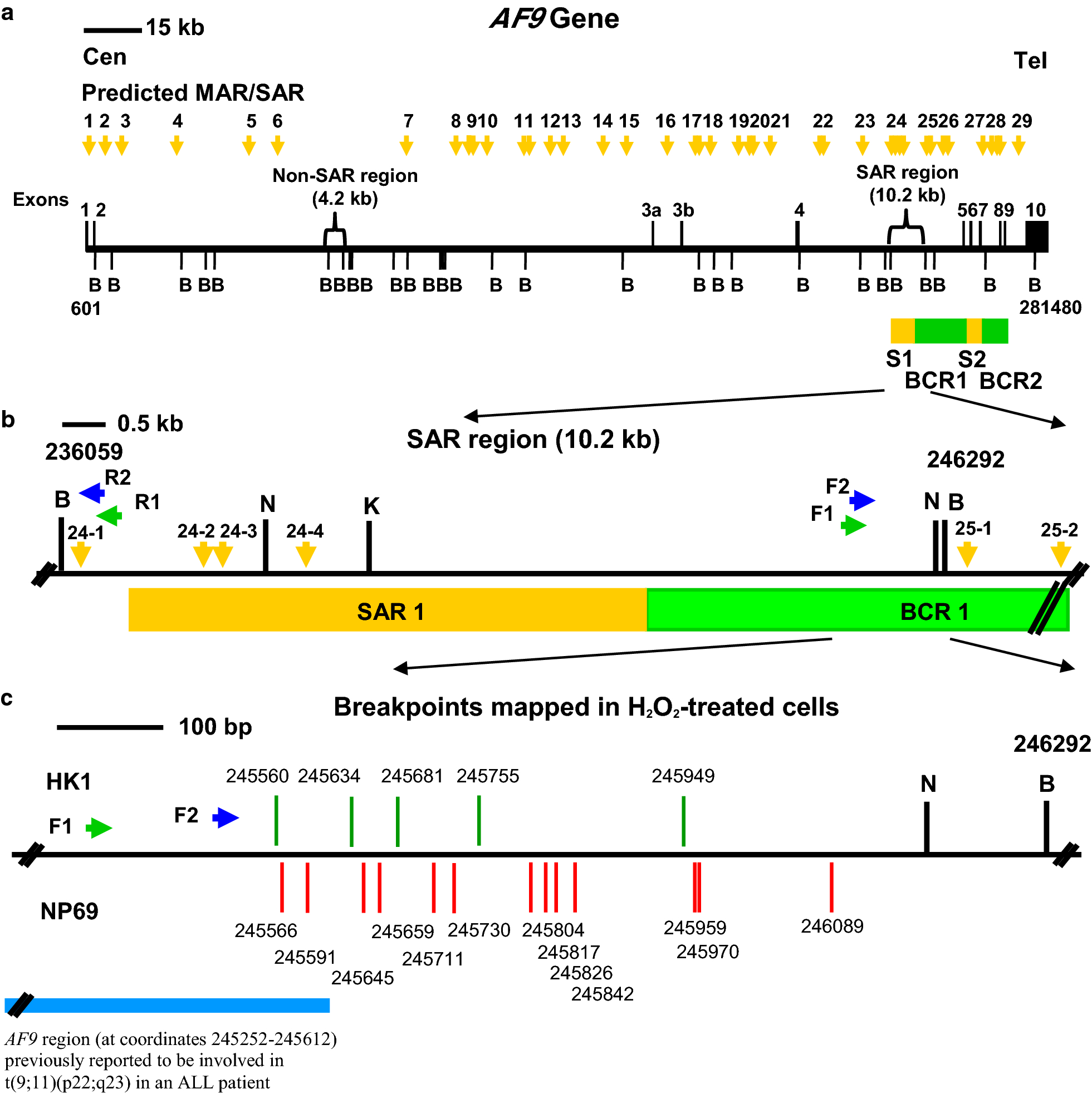 Fig. 7