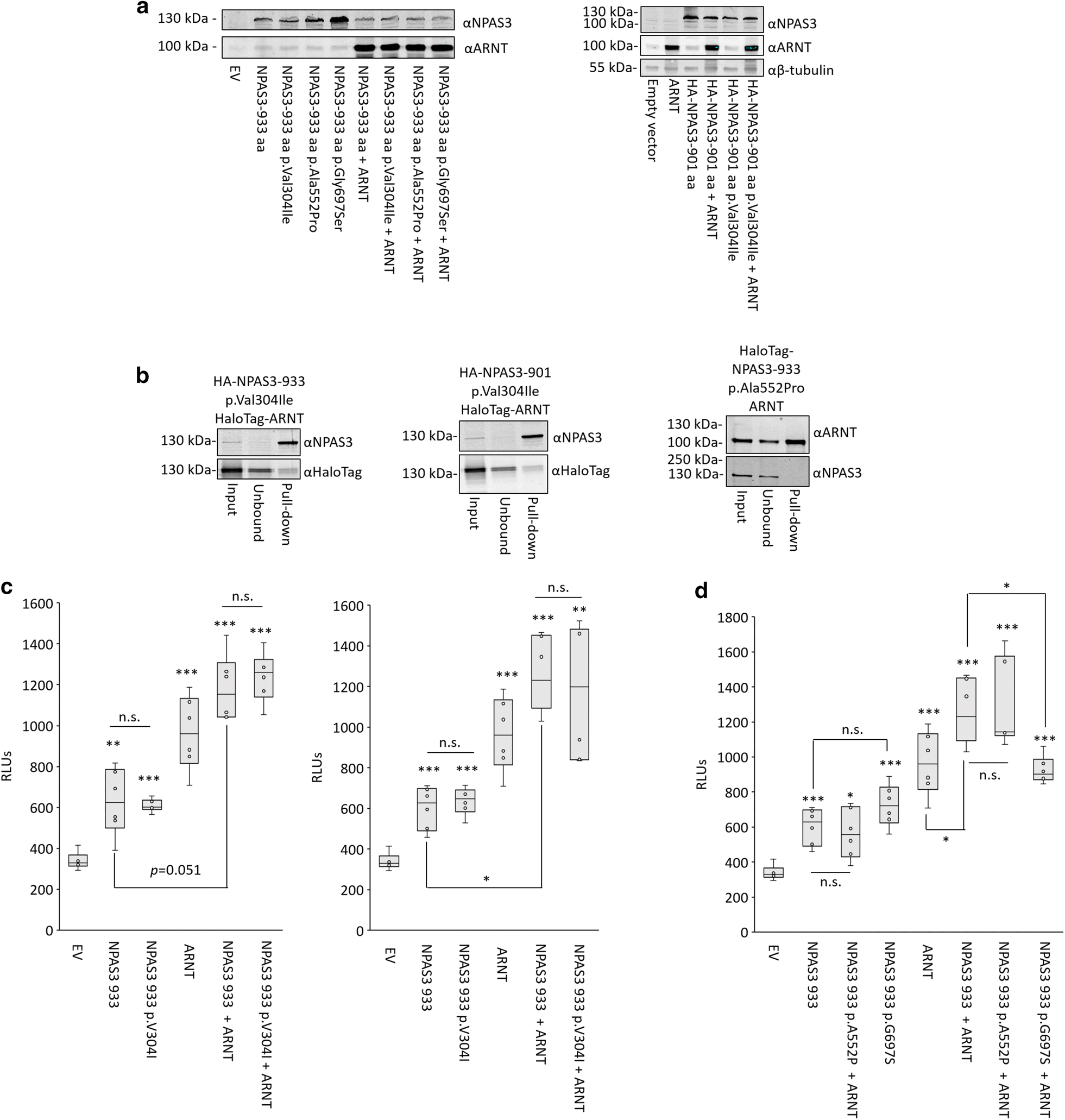 Fig. 9