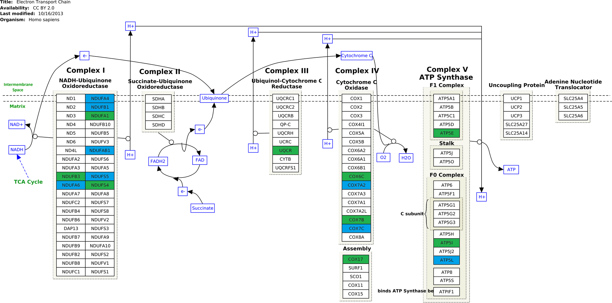 Fig. 2