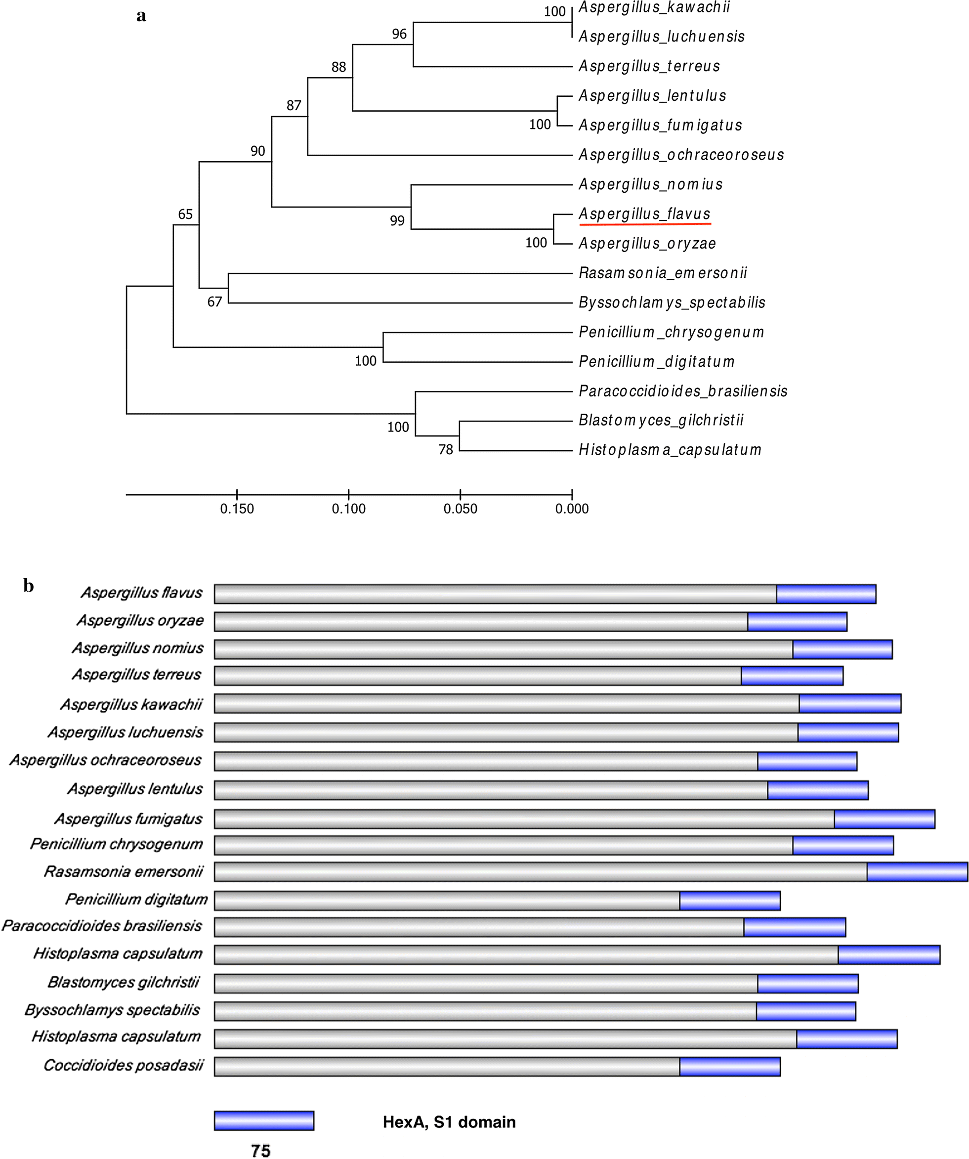 Fig. 1