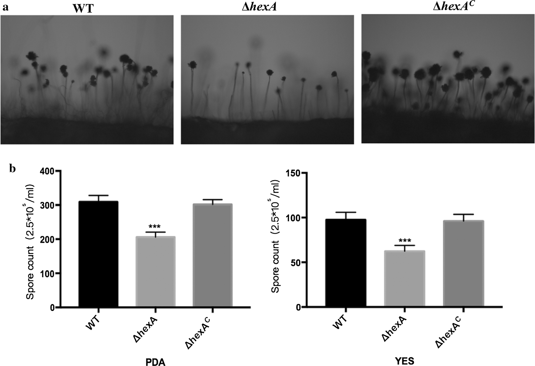 Fig. 3