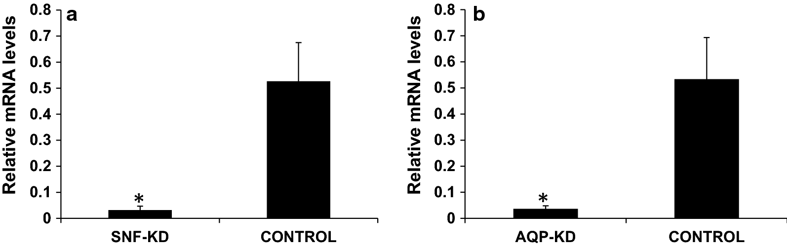 Fig. 11