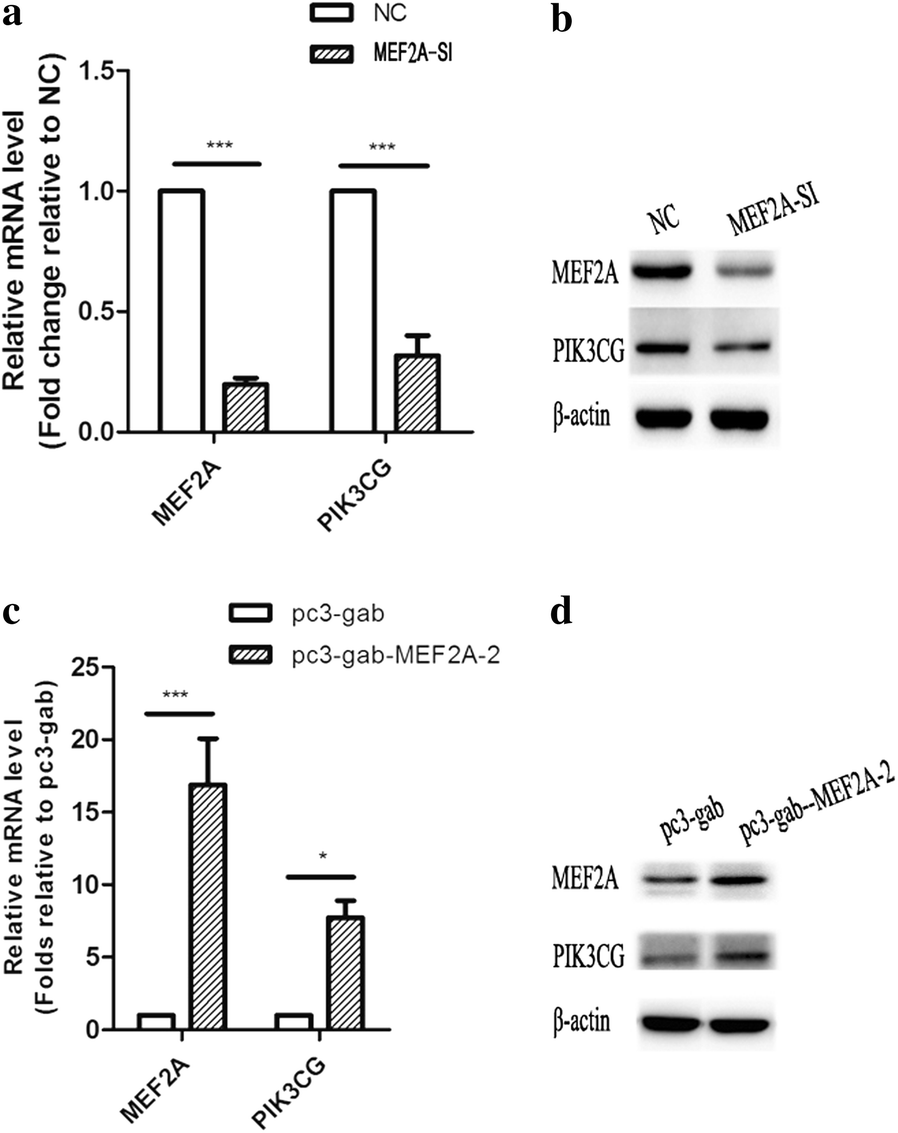 Fig. 6