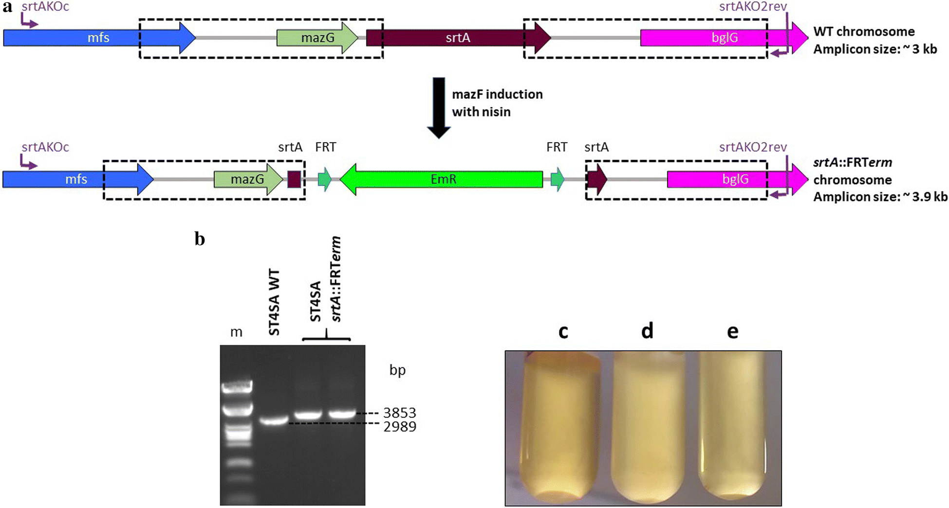 Fig. 5