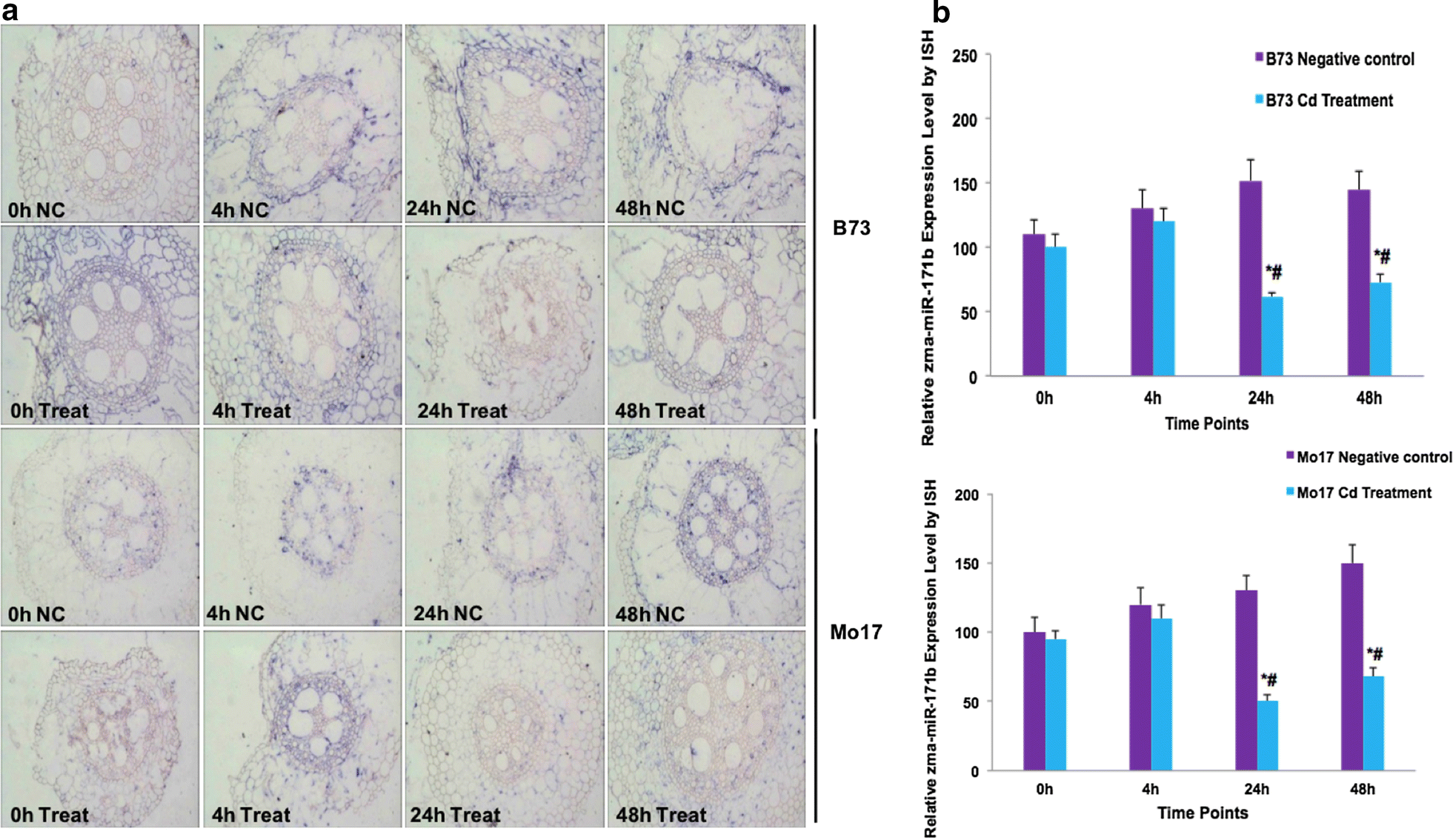 Fig. 4