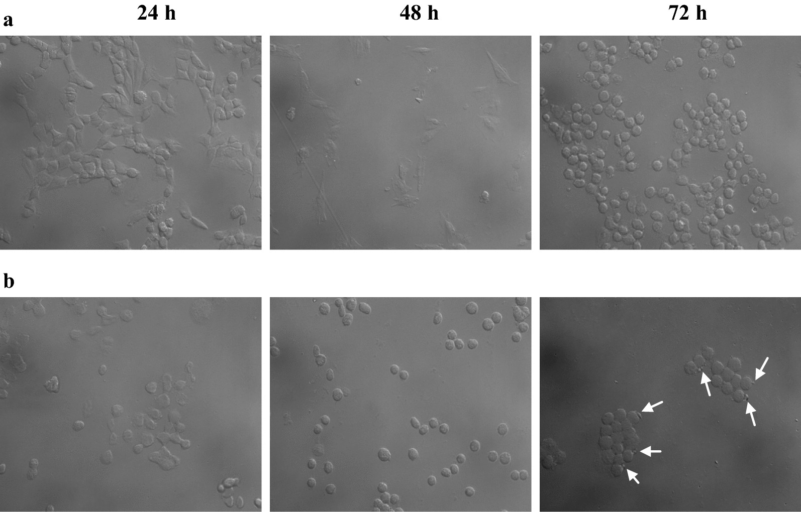 Fig. 7