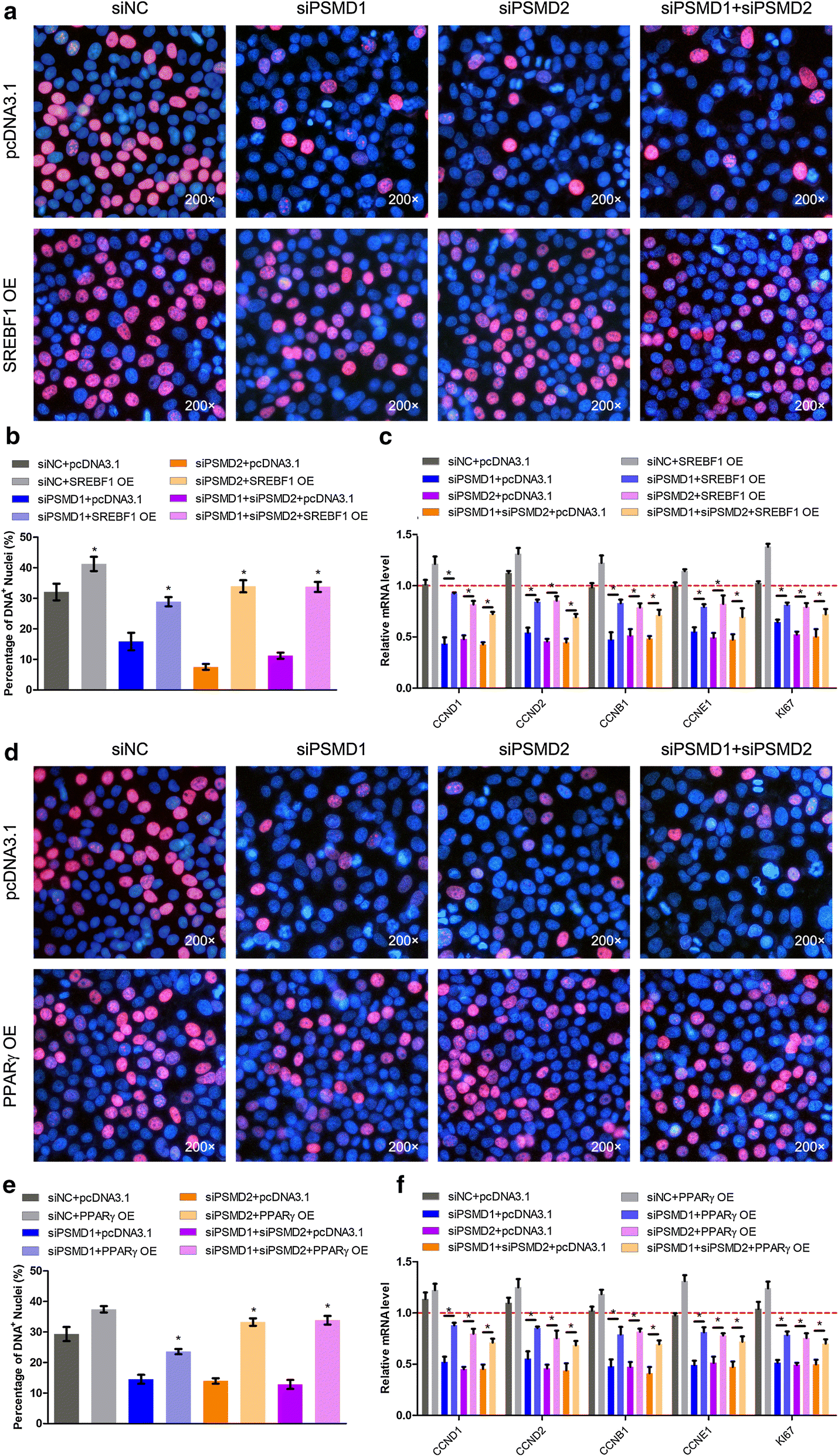 Fig. 6