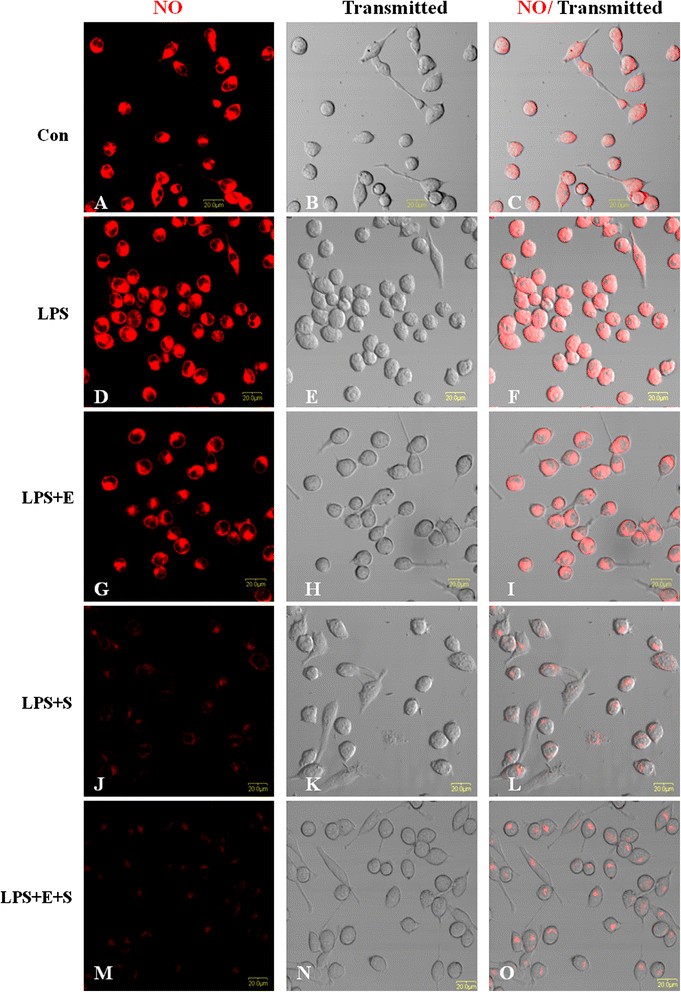 Figure 13