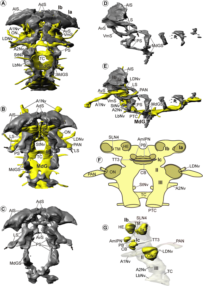 Figure 9