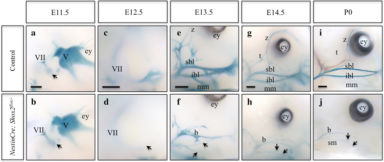 Figure 3