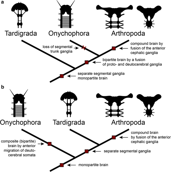 Fig. 10