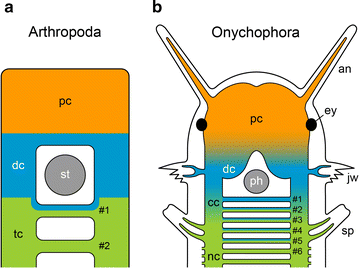 Fig. 9