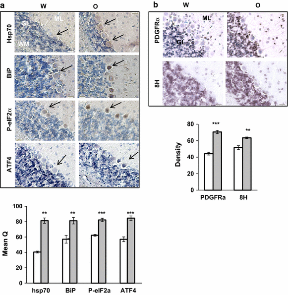 Fig. 7