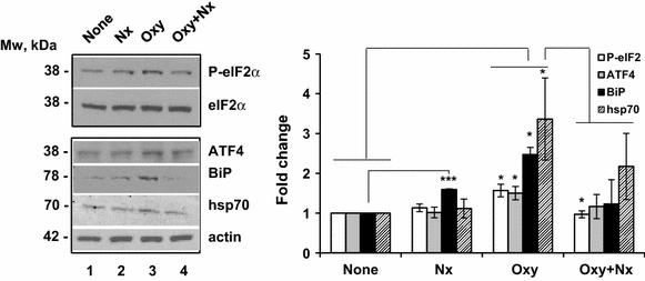 Fig. 8