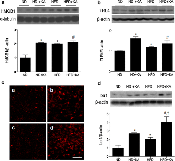 Fig. 4