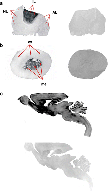 Fig. 2