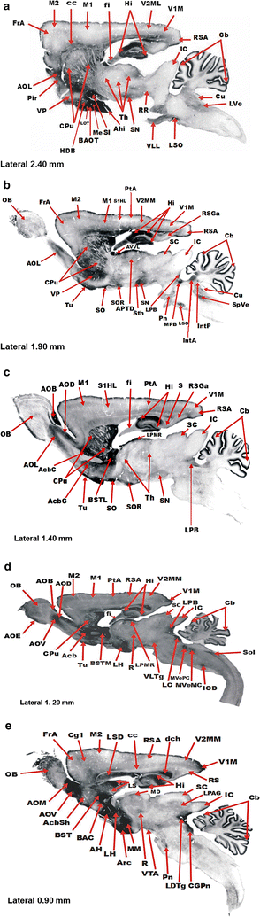 Fig. 7