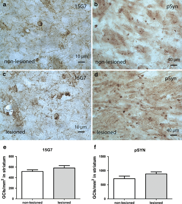 Fig. 5