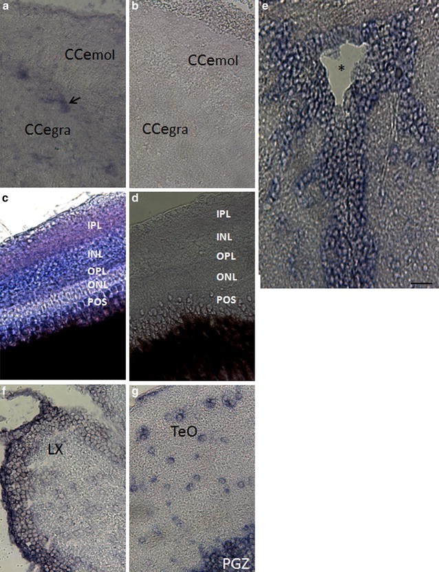 Fig. 7