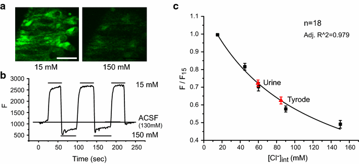 Fig. 2