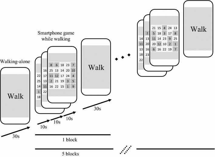 Fig. 1