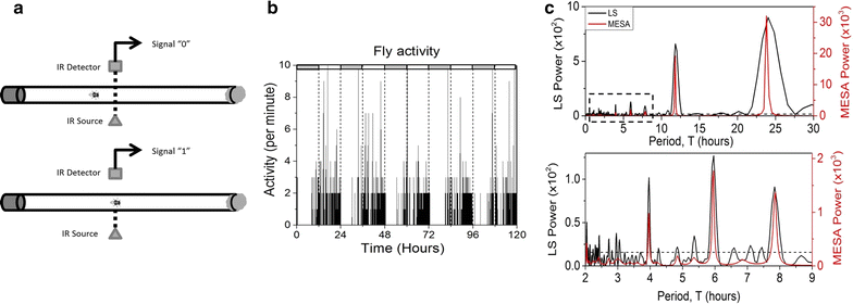 Fig. 1