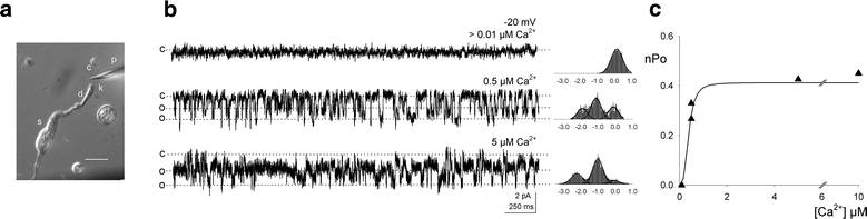 Fig. 1