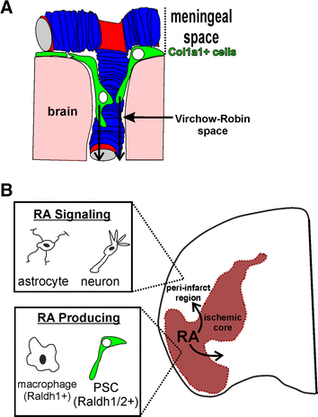 Fig. 6