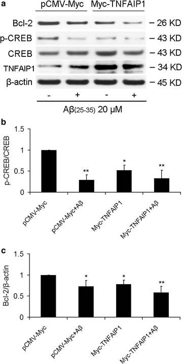 Fig. 6