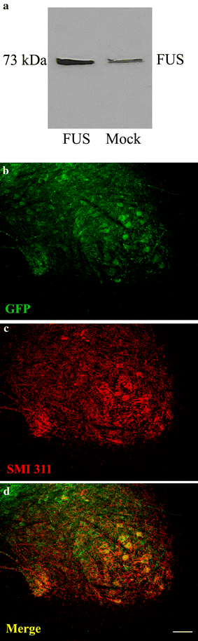 Fig. 4