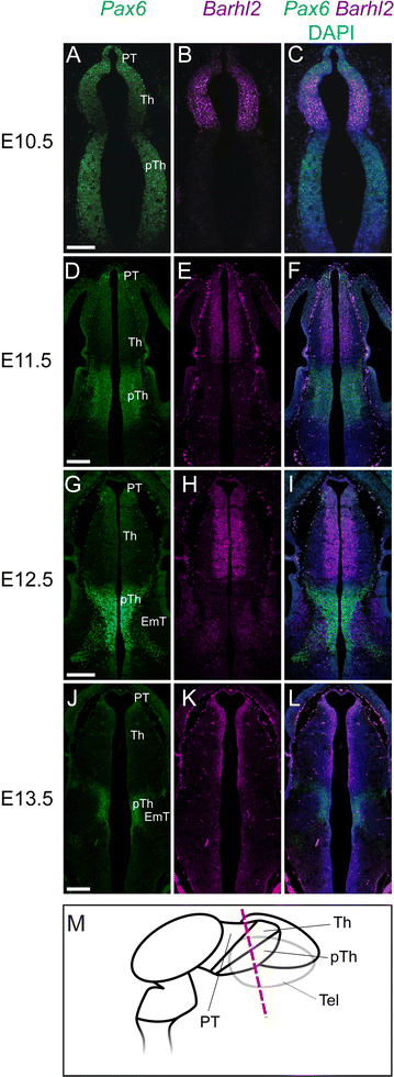 Fig. 7