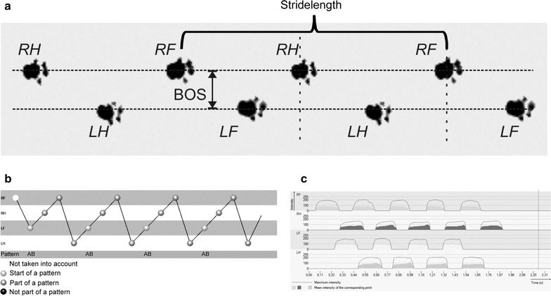 Fig. 1