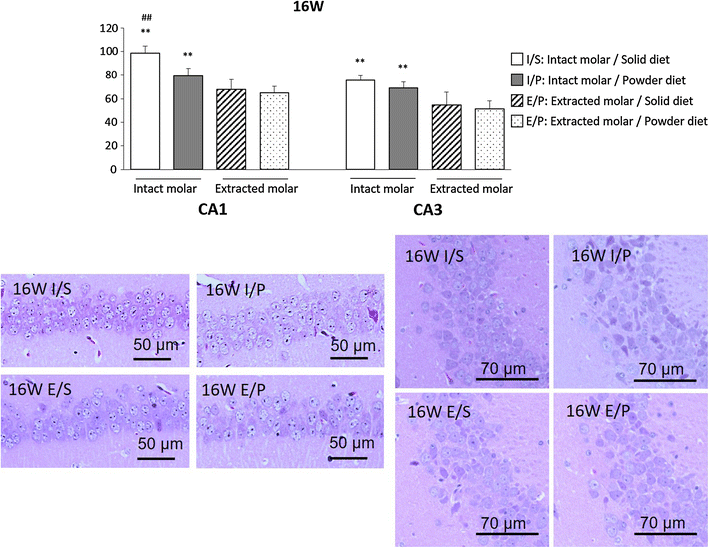 Fig. 6