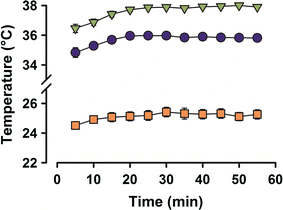 Fig. 2