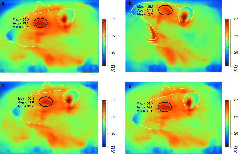 Fig. 4