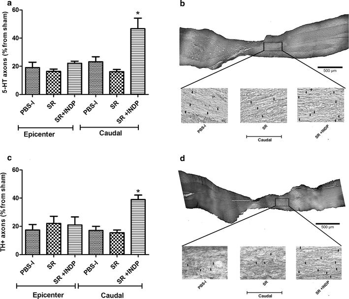 Fig. 4