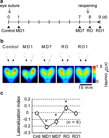 Fig. 3