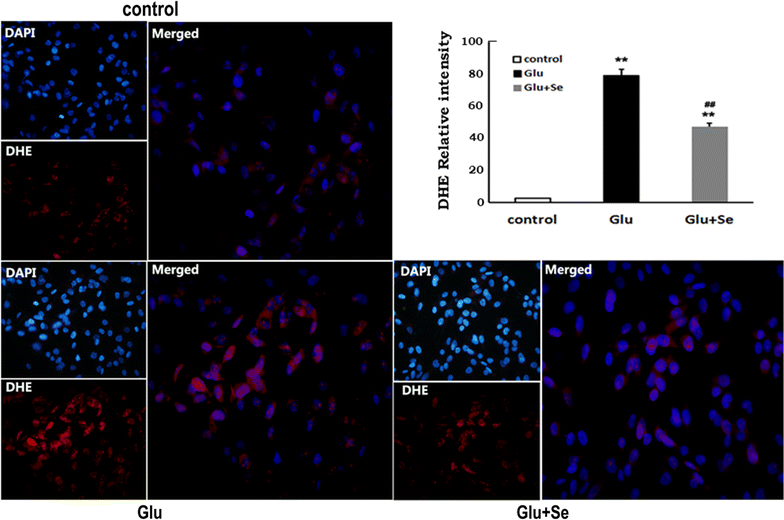 Fig. 3