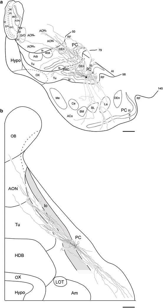 Fig. 5