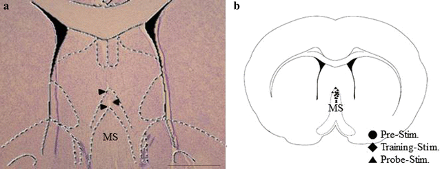 Fig. 3