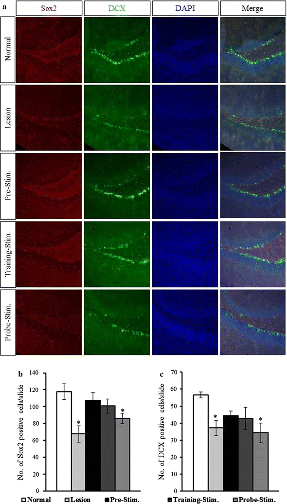 Fig. 7