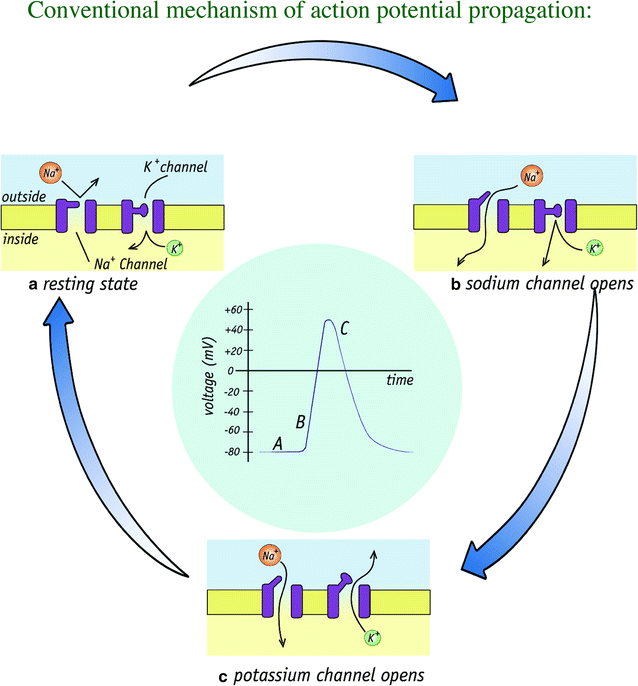 Fig. 3