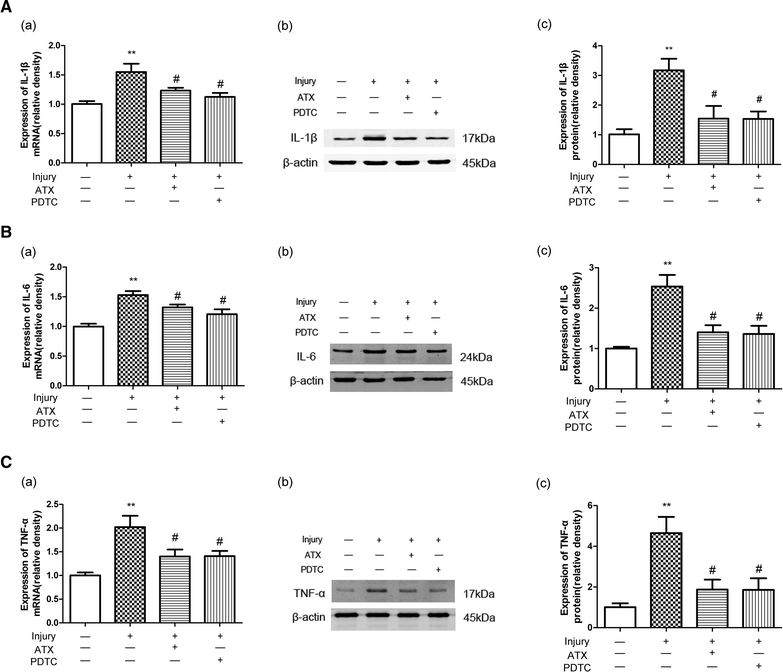 Fig. 3