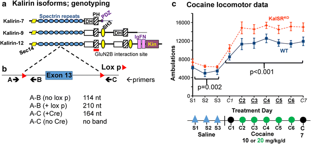 Fig. 1