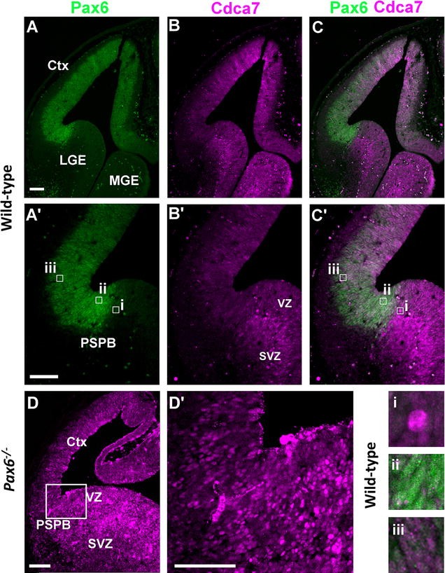 Fig. 4